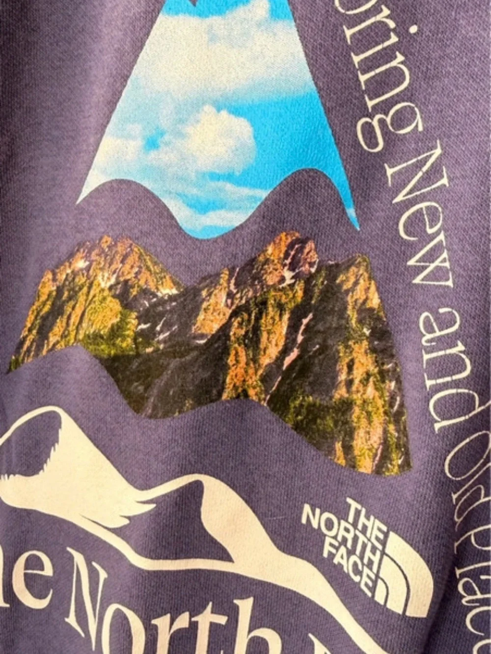 The North Face Graphic Crewneck Sweatshirt – Blue – Size L